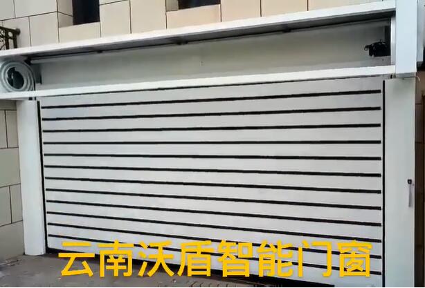 別墅鋁合金硬質(zhì)快速車庫門